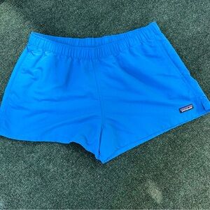 Patagonia Baggies Shorts Sz L